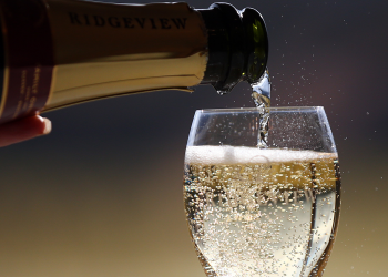 Health Benefits of White Wine