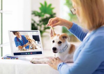 How does veterinary telemedicine work?