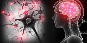 New Study Shows Almost Half of Older Adults Die from Dementia Diagnosis